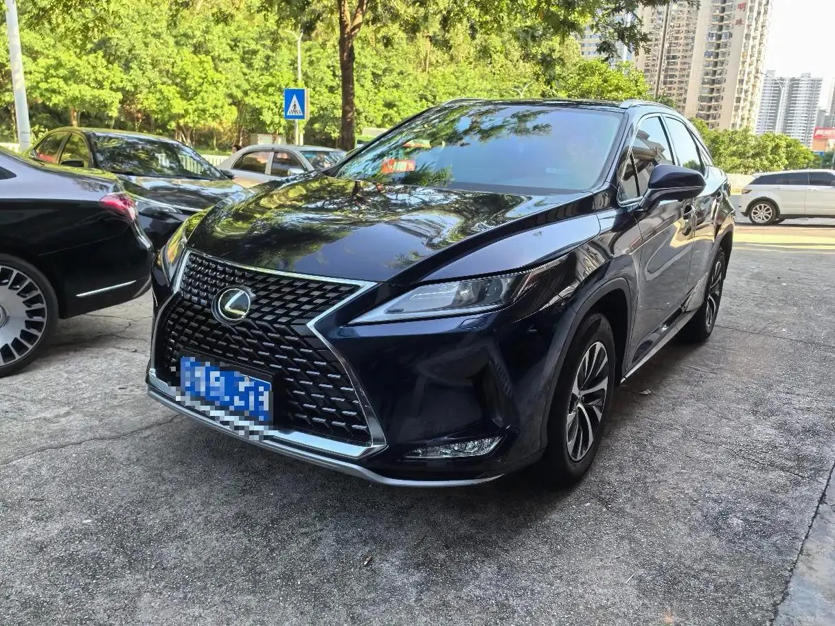 Lexus RX 2020 15000.00g Drive Elite Edition National V 3