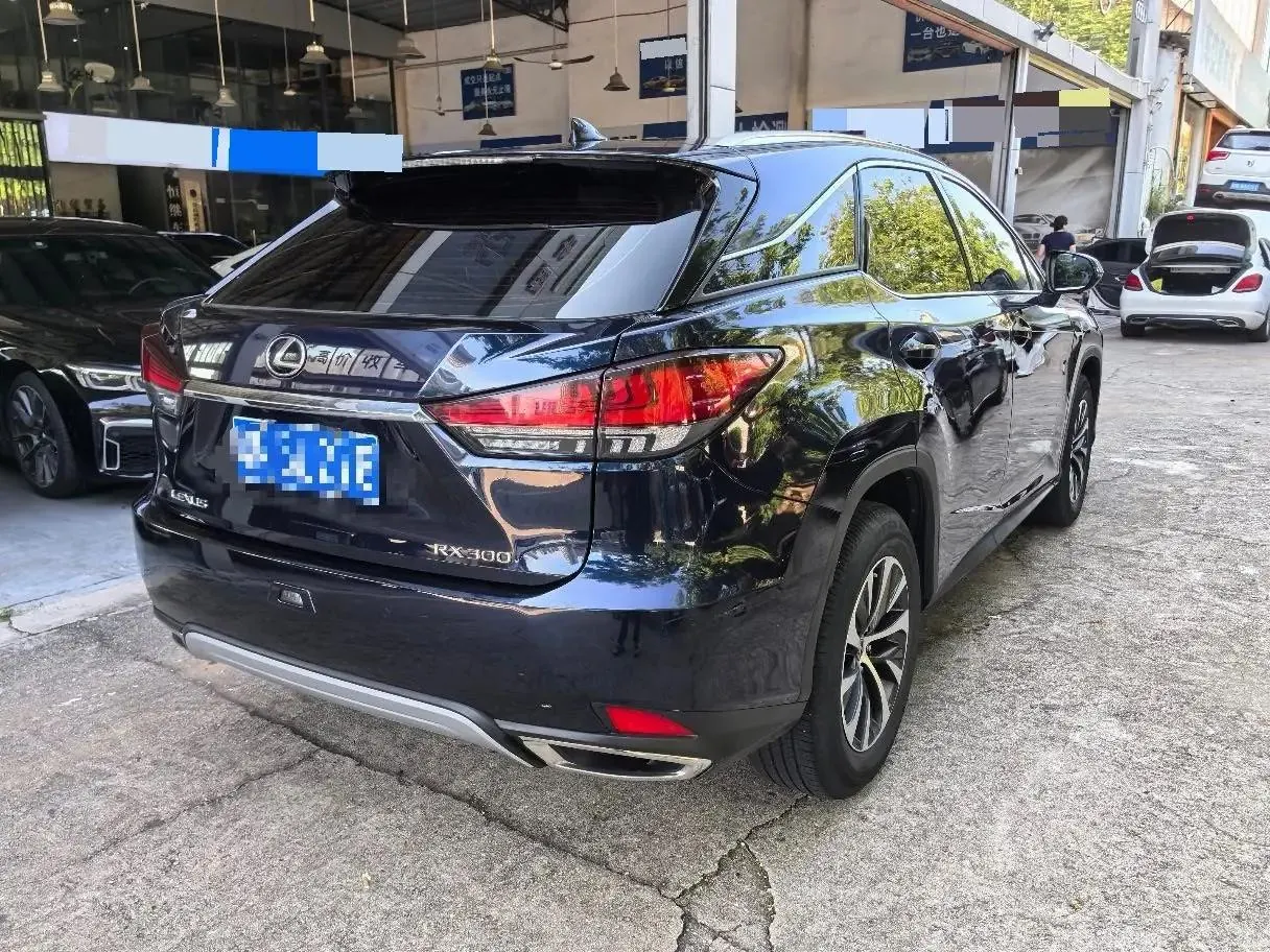 Lexus RX 2020 15000.00g Drive Elite Edition National V 6