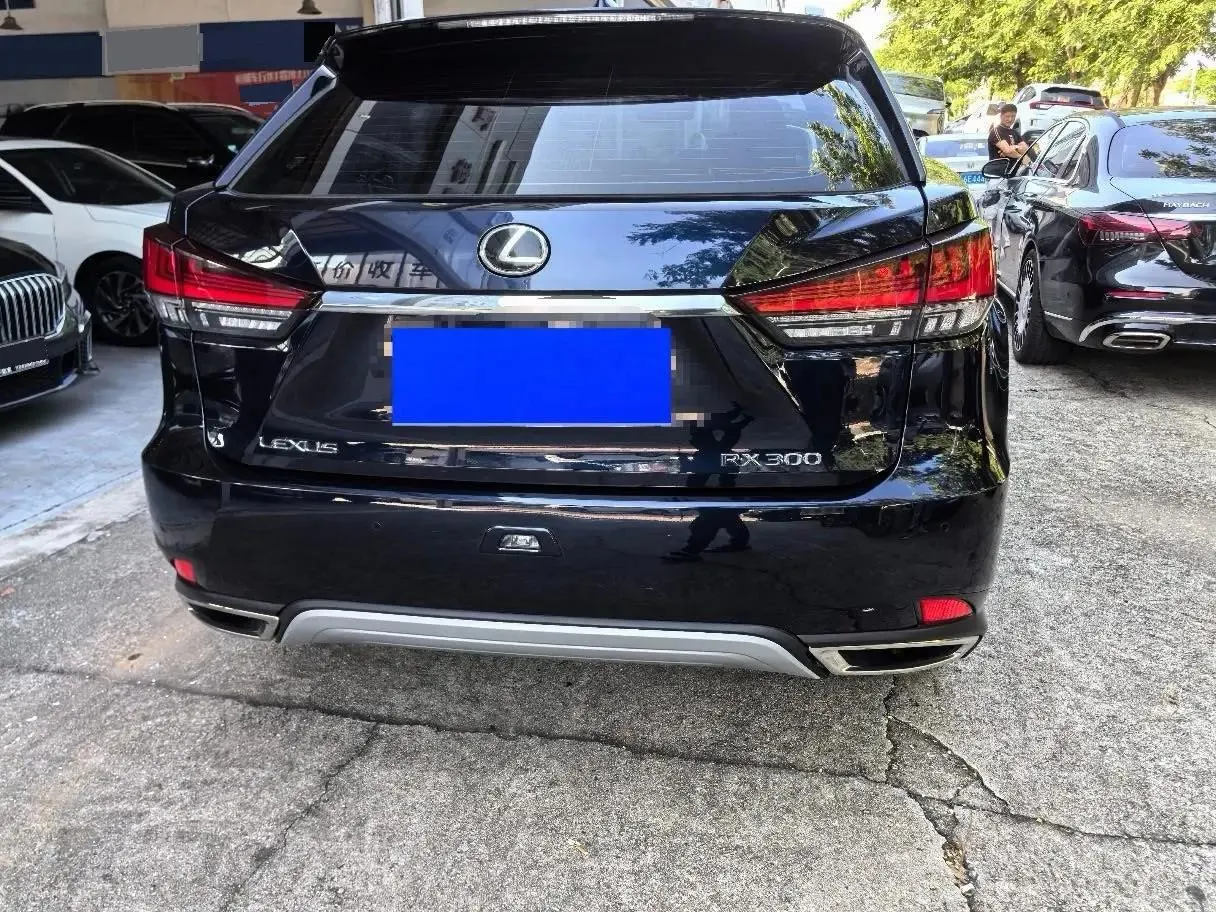 Lexus RX 2020 15000.00g Drive Elite Edition National V 7