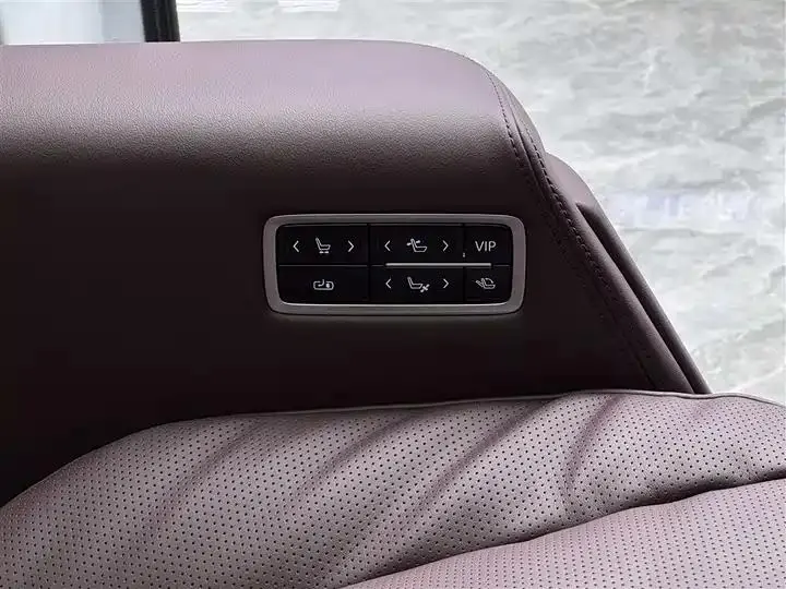 Century 2025 2.0T Six-seat World Edition 11