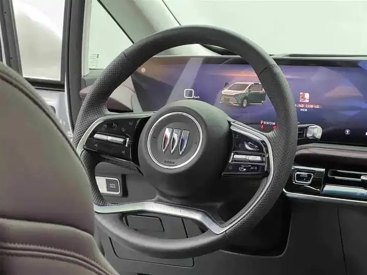 Century 2025 2.0T Six-seat World Edition 12
