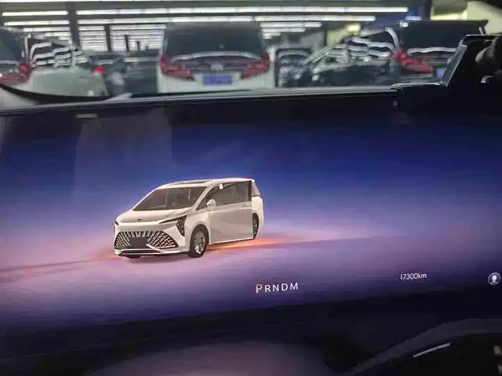 Century 2025 2.0T Six-seat World Edition 13