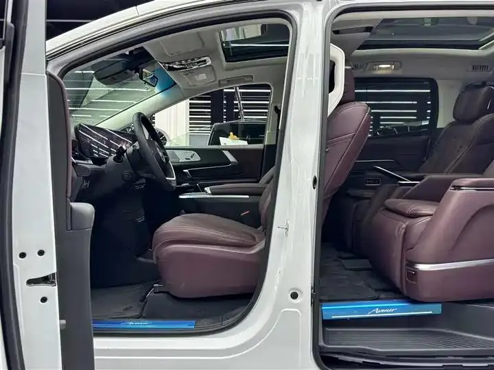 Century 2025 2.0T Six-seat World Edition 4