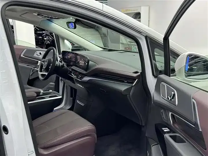 Century 2025 2.0T Six-seat World Edition 5