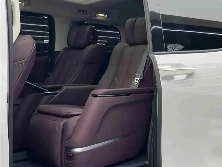 Century 2025 2.0T Six-seat World Edition 7