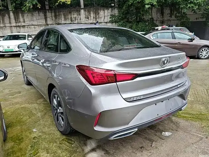 Yidong 2020 PLUS Blue Whale NE 1.4T GDI DCT Honorable Model 5