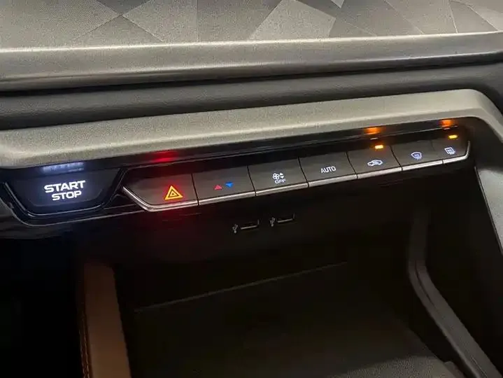 Farizon X6 2021 PRO 1.4T Automatic Prestige Edition 10