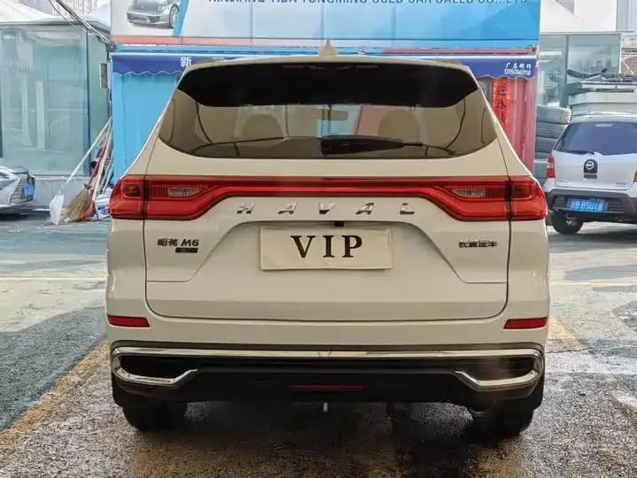 Haval M6 2021 PLUS 1.5T DCT Elite Smart Union 8