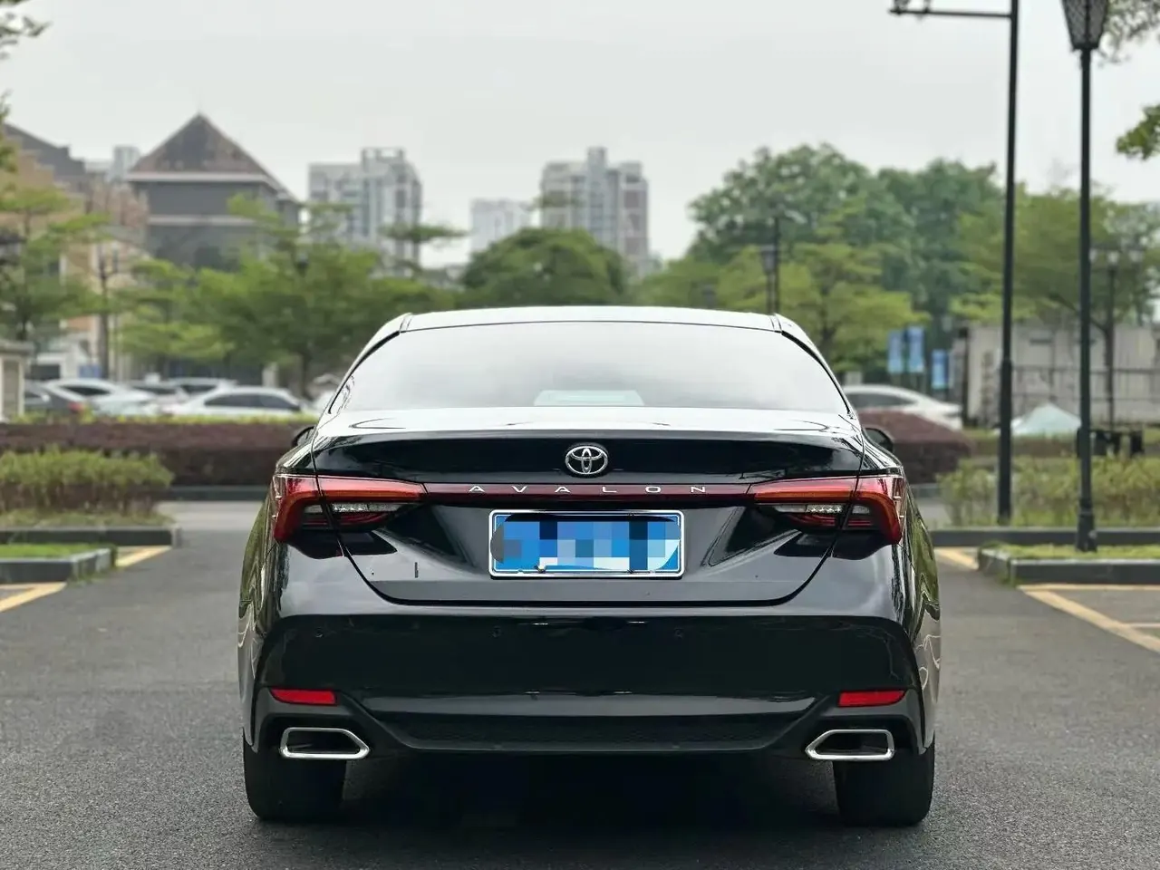 Asian Dragon 2019 2.0L Deluxe Edition Country VI 6