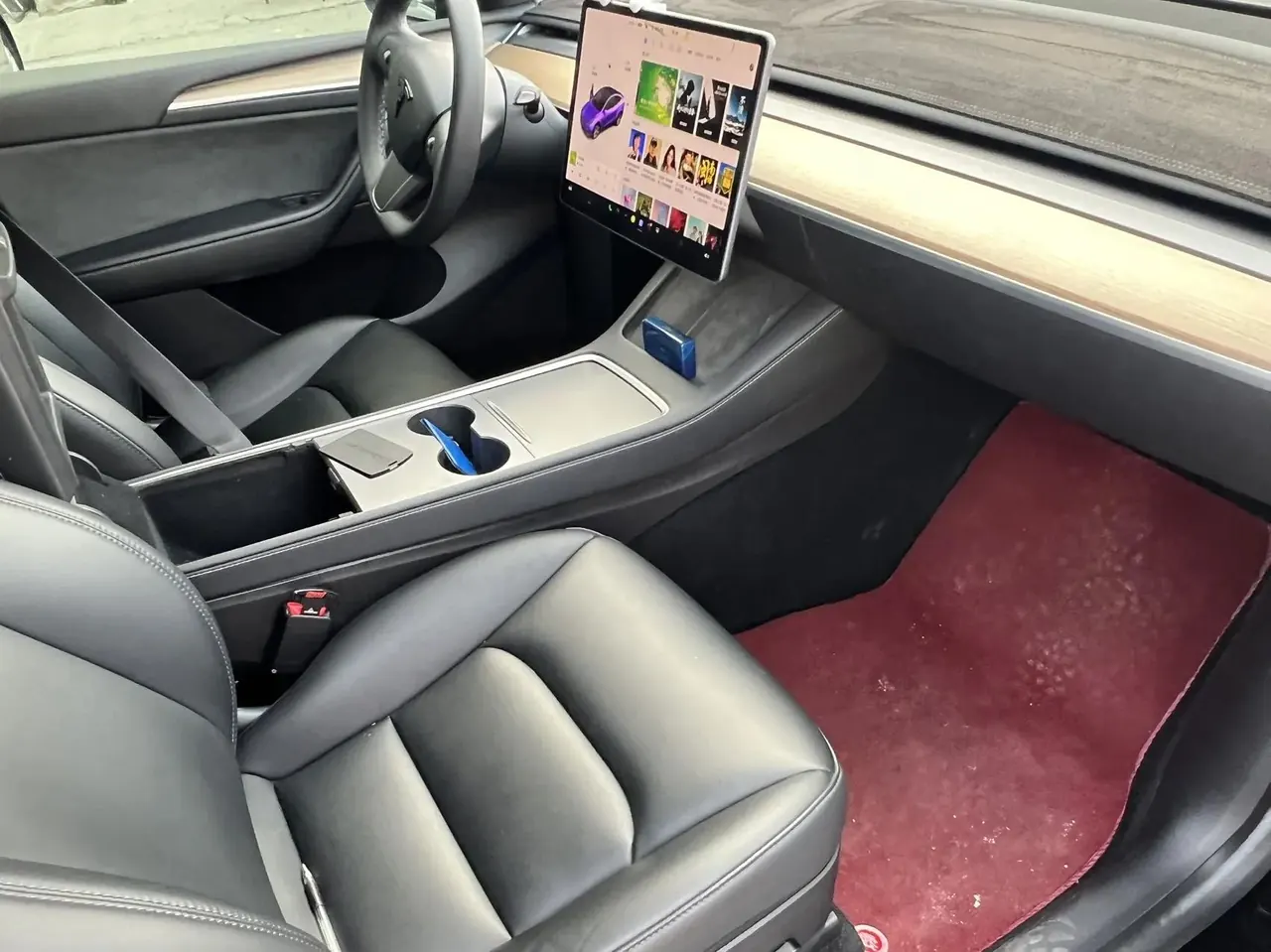 2021 Model Y Standard Range Rear-Wheel Drive Edition 4