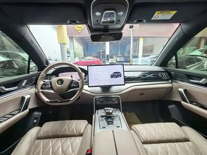 Tang New Energy 2024 DM-p Champion 215KM Four-wheel Drive Flagship 10