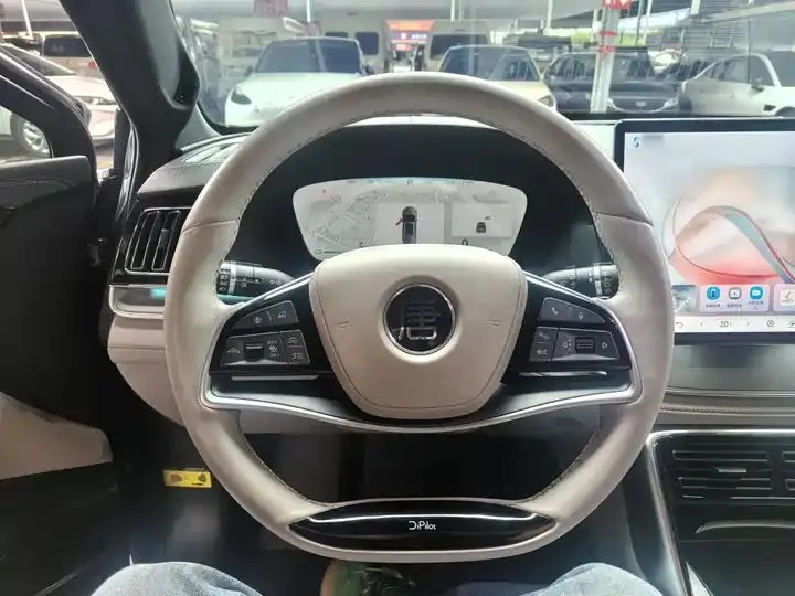Tang New Energy 2024 DM-p Champion 215KM Four-wheel Drive Flagship 11
