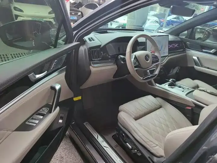 Tang New Energy 2024 DM-p Champion 215KM Four-wheel Drive Flagship 16