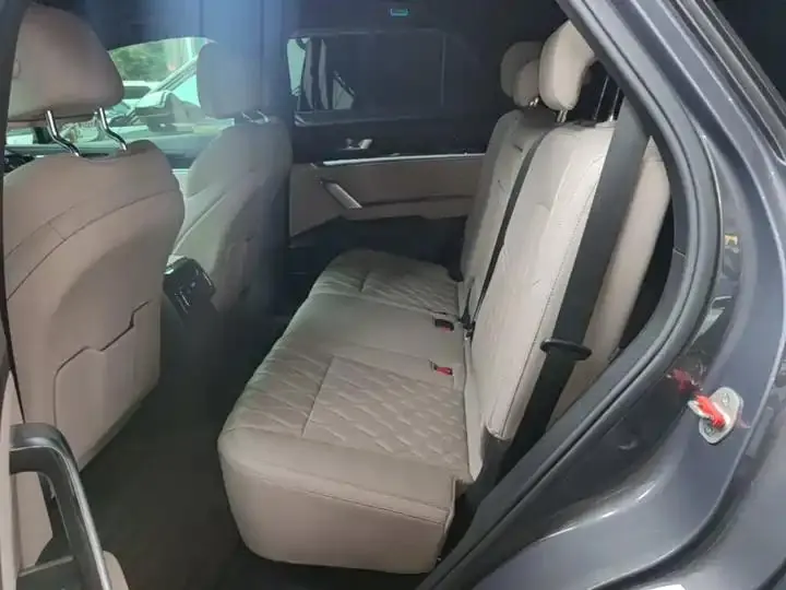 Tang New Energy 2024 DM-p Champion 215KM Four-wheel Drive Flagship 17