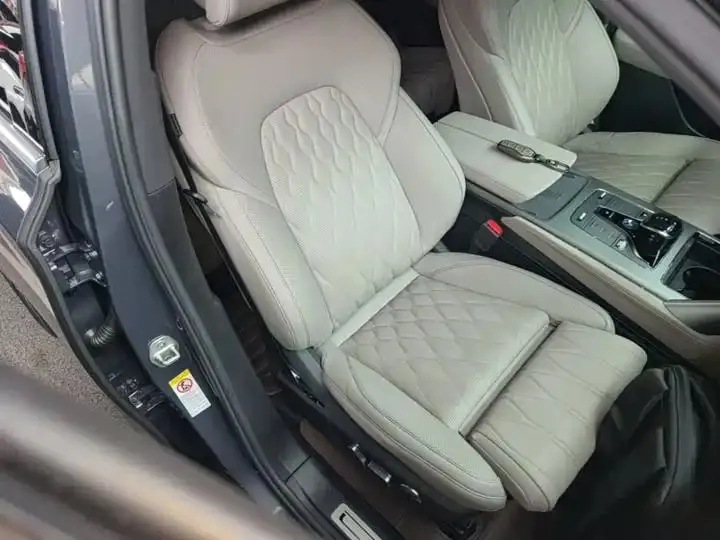 Tang New Energy 2024 DM-p Champion 215KM Four-wheel Drive Flagship 25