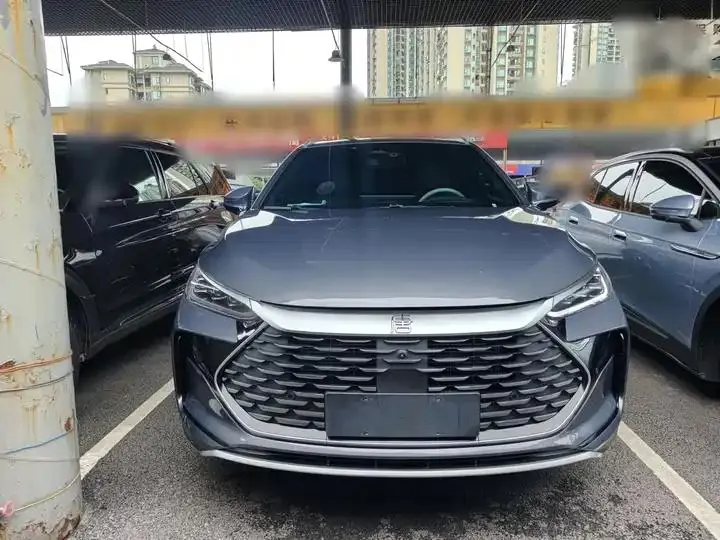 Tang New Energy 2024 DM-p Champion 215KM Four-wheel Drive Flagship 3