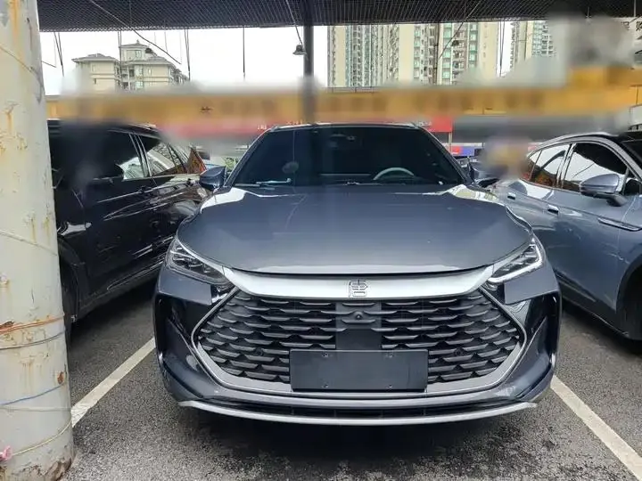 Tang New Energy 2024 DM-p Champion 215KM Four-wheel Drive Flagship 4