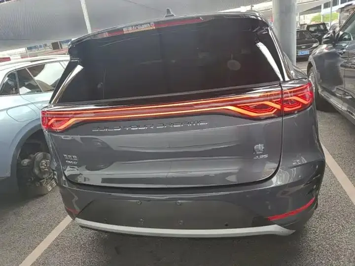Tang New Energy 2024 DM-p Champion 215KM Four-wheel Drive Flagship 6