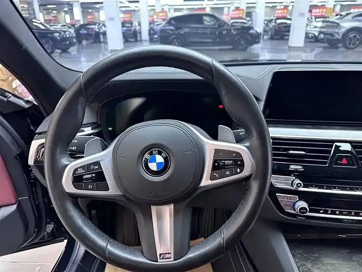 BMW 5 Series 2020 530Li Leading M Sports Suit 10