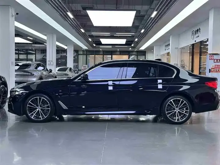 BMW 5 Series 2020 530Li Leading M Sports Suit 11