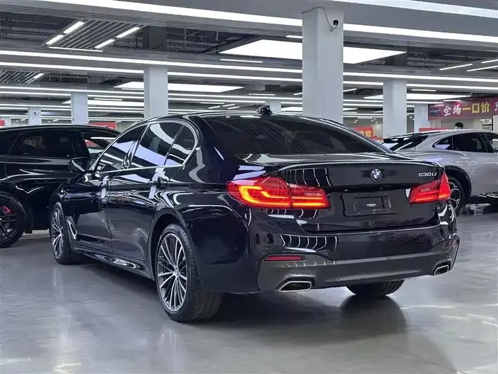 BMW 5 Series 2020 530Li Leading M Sports Suit 13