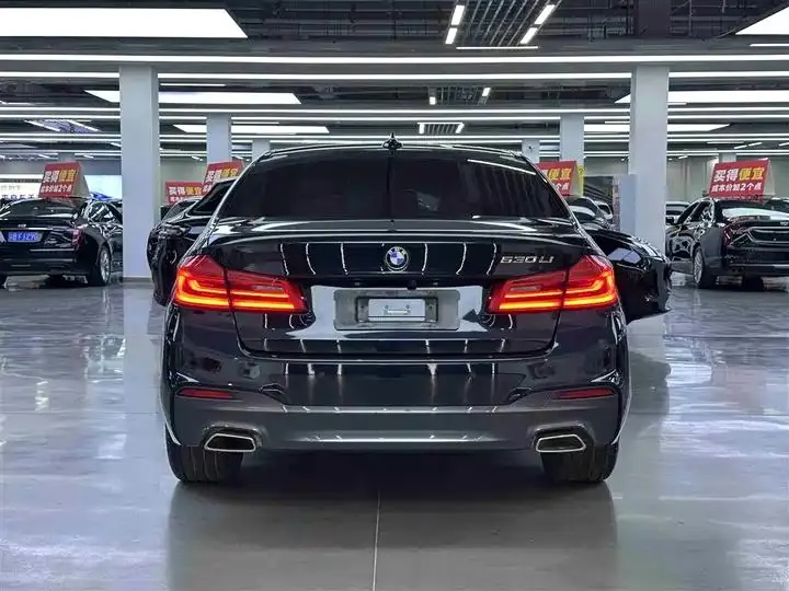 BMW 5 Series 2020 530Li Leading M Sports Suit 14