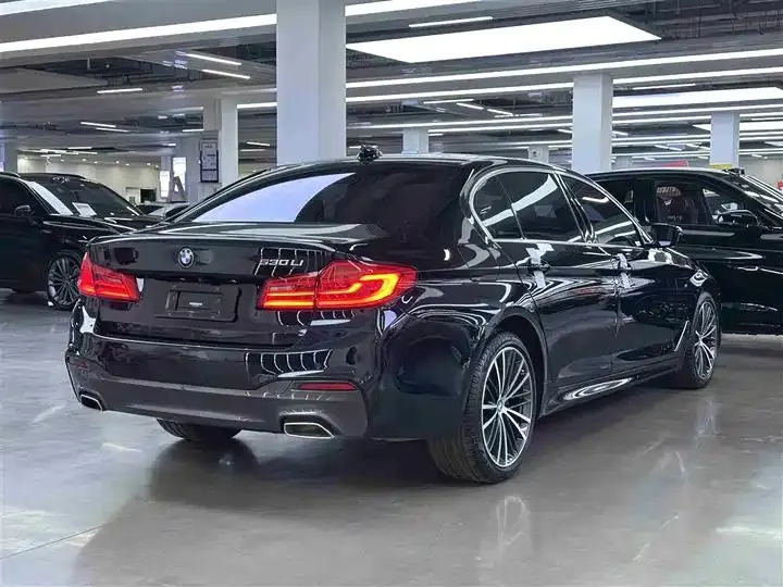 BMW 5 Series 2020 530Li Leading M Sports Suit 15