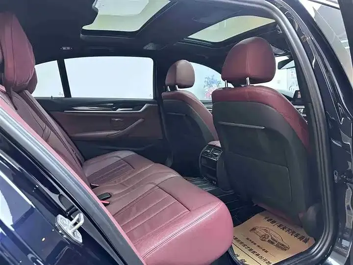 BMW 5 Series 2020 530Li Leading M Sports Suit 5