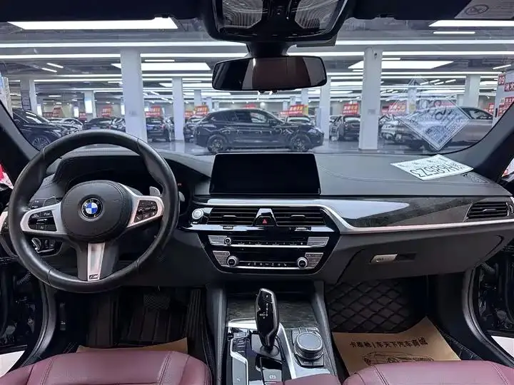 BMW 5 Series 2020 530Li Leading M Sports Suit 8