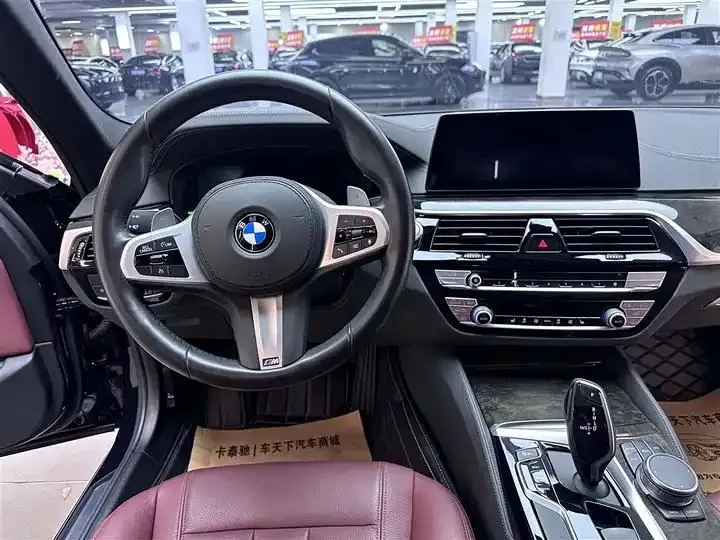 BMW 5 Series 2020 530Li Leading M Sports Suit 9