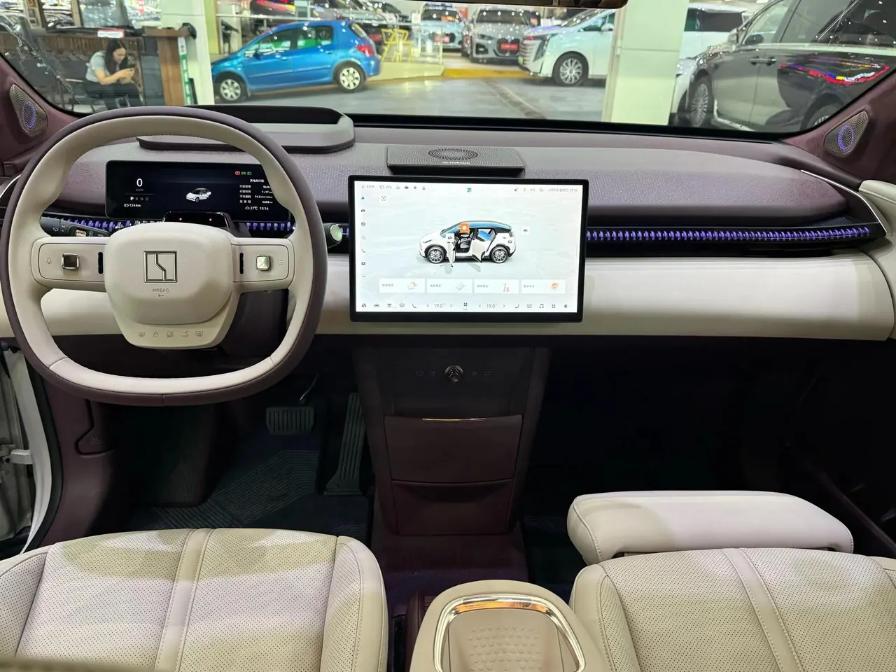 Zeekr 2025 Zeekr X Four-Seat Rear-Wheel-Drive Magic Cube Edition Automatic 6