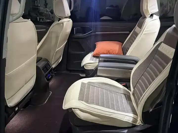 Wei Ran 2024 380TSI Zunchi Edition 5