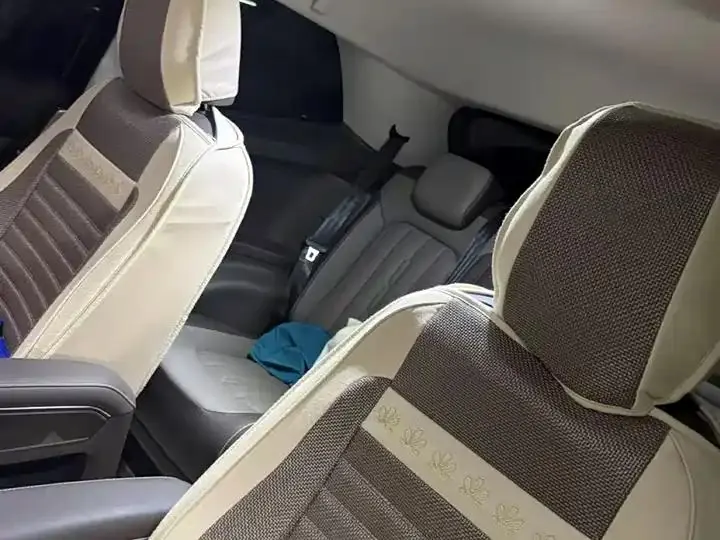 Wei Ran 2024 380TSI Zunchi Edition 7