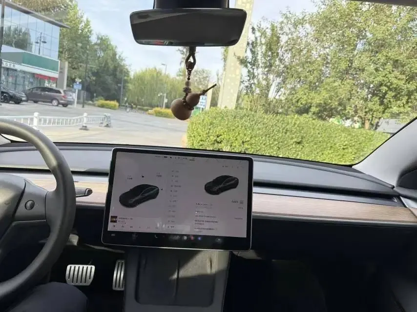 Model 3 2021 facelift Performance high-performance all-wheel drive 3D1 6