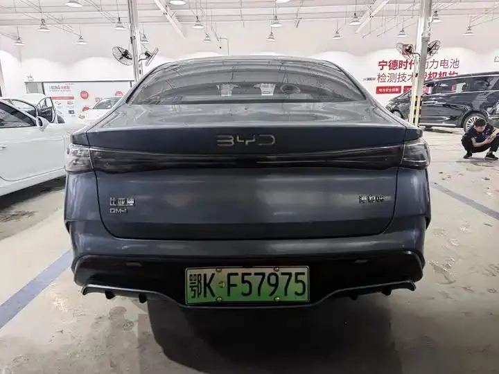 Seal 06 New Energy 2024 DM-i 120KM Honor Model 5