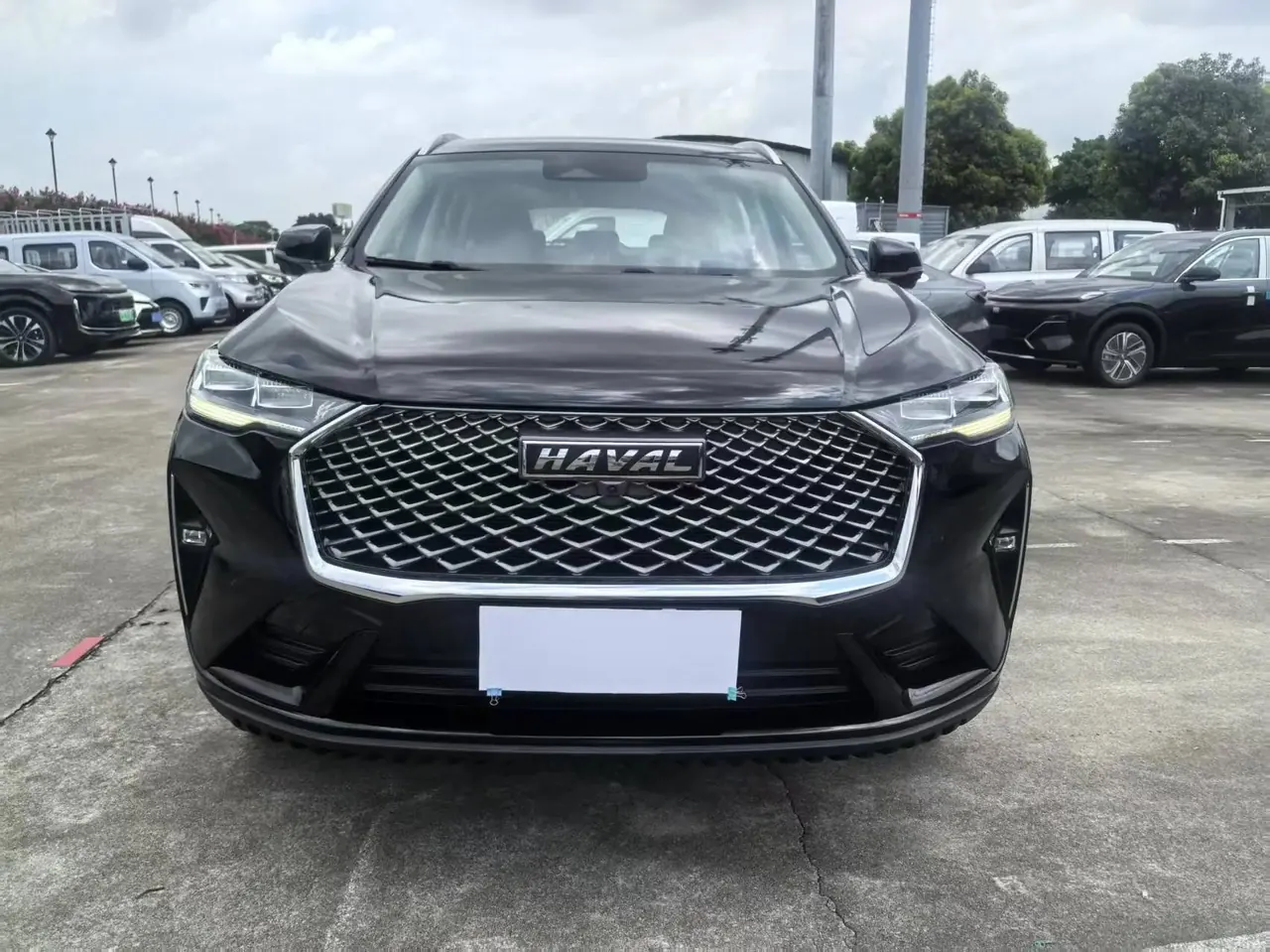 Haval 2022 H6 1.5T Two-Wheel Drive Max Automatic 2