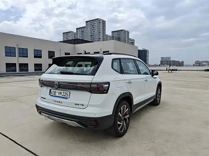 Tuyue 2024 300TSI Two-Wheel-Drive Moon Luxury Edition 5