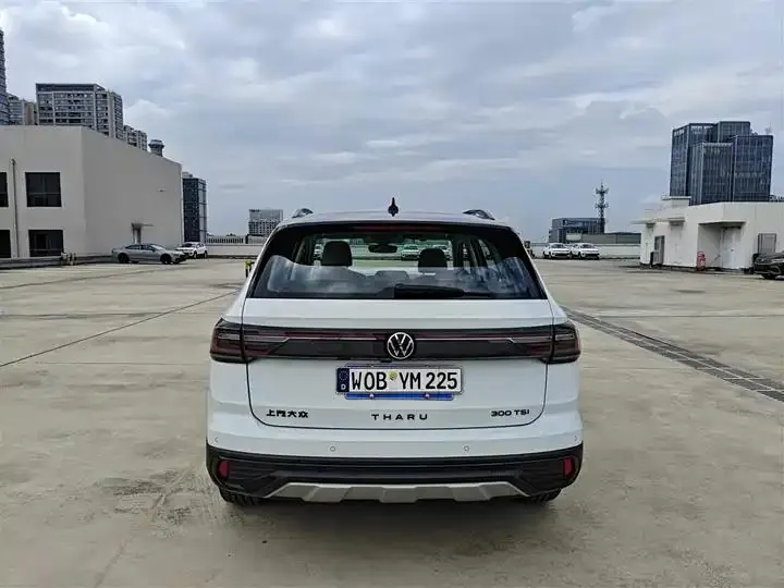 Tuyue 2024 300TSI Two-Wheel-Drive Moon Luxury Edition 6
