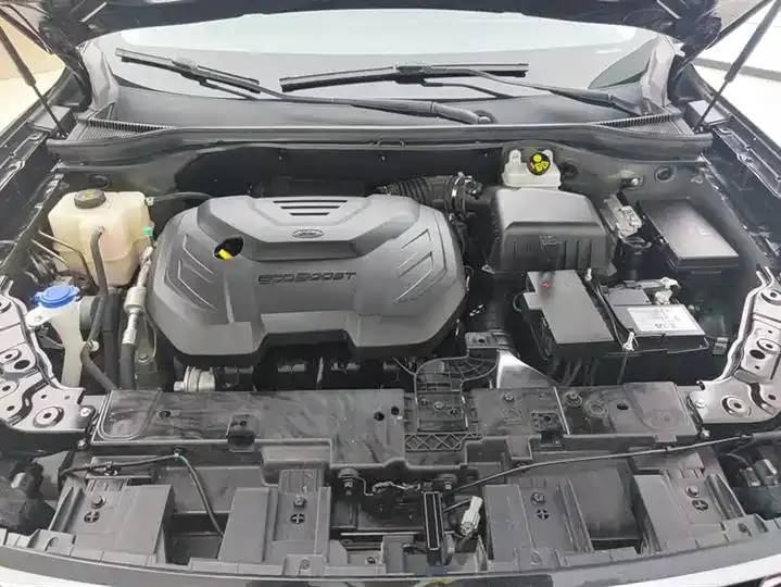 Lingyu 2021 EcoBoost 225 Platinum Collar 6 10