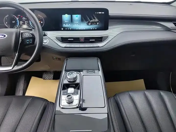 Lingyu 2021 EcoBoost 225 Platinum Collar 6 13