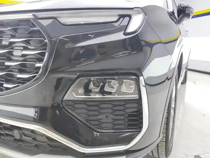 Lingyu 2021 EcoBoost 225 Platinum Collar 6 5
