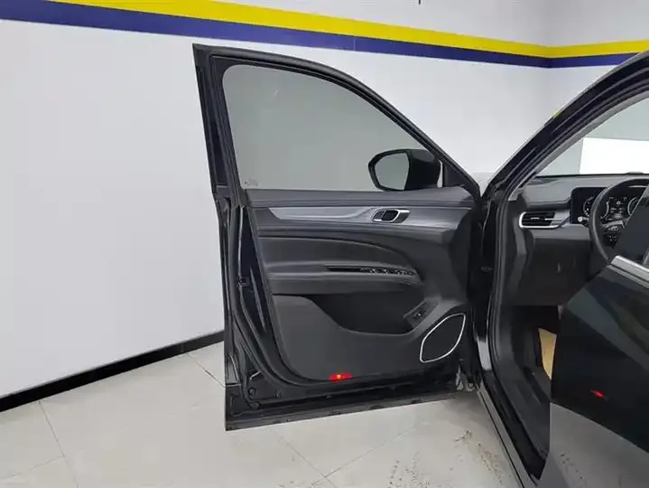 Lingyu 2021 EcoBoost 225 Platinum Collar 6 7