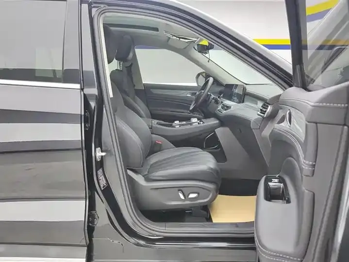 Lingyu 2021 EcoBoost 225 Platinum Collar 6 8