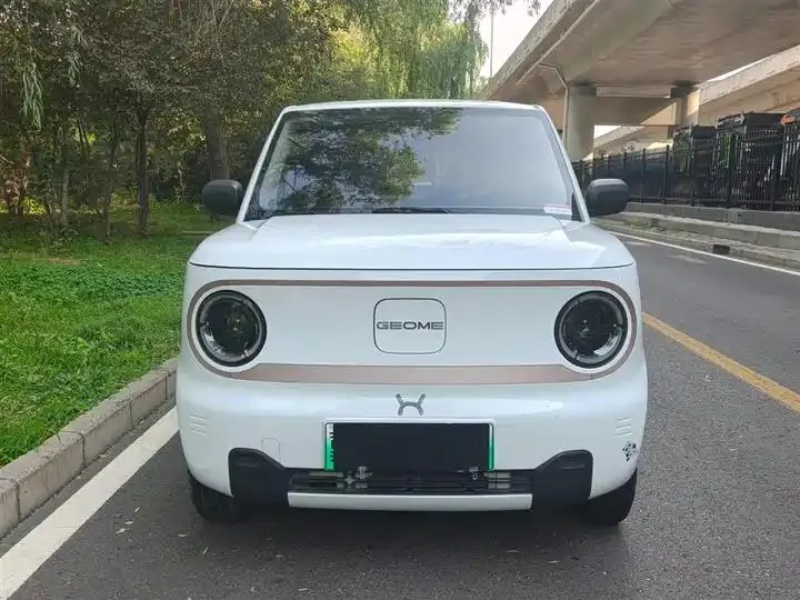 Panda 2023 panda mini 200km endurance bear 2