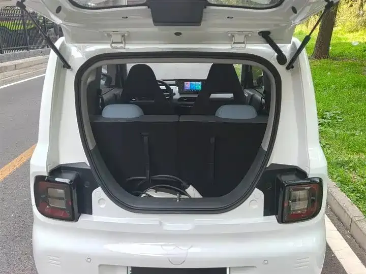Panda 2023 panda mini 200km endurance bear 6