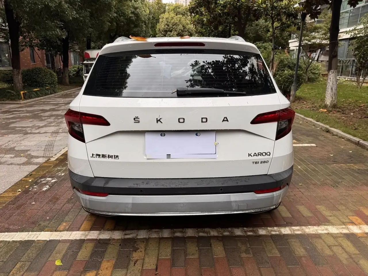 Keluoke 2019 TSI280 Zhihang Premium Edition National V 11
