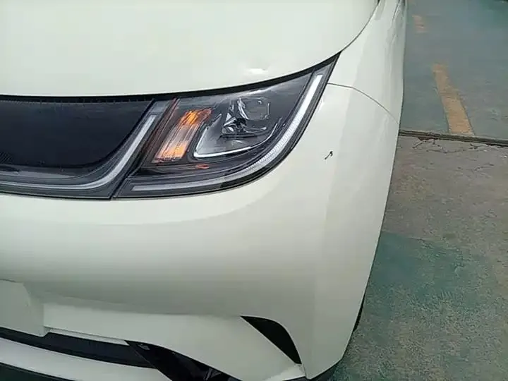 Dolphin 2023 420km Free Edition 18