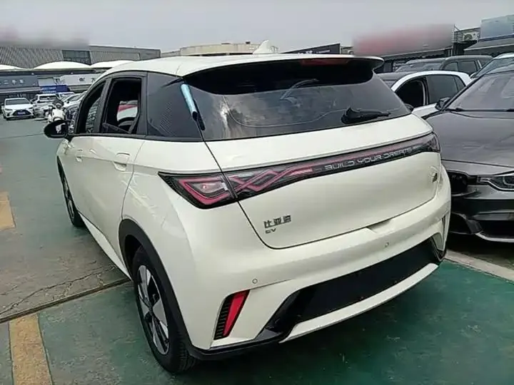 Dolphin 2023 420km Free Edition 23