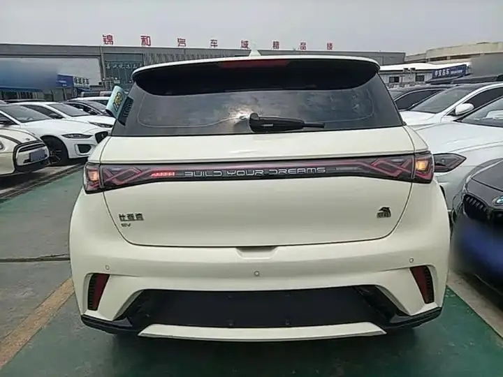 Dolphin 2023 420km Free Edition 4