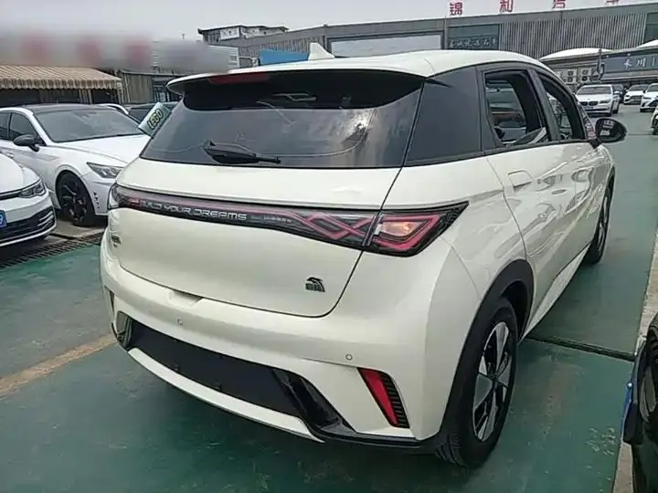 Dolphin 2023 420km Free Edition 5